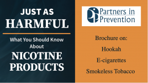 Partners in Prevention Just as Harmful Brochure